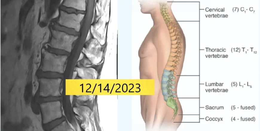 imaging-12.14.2023-2